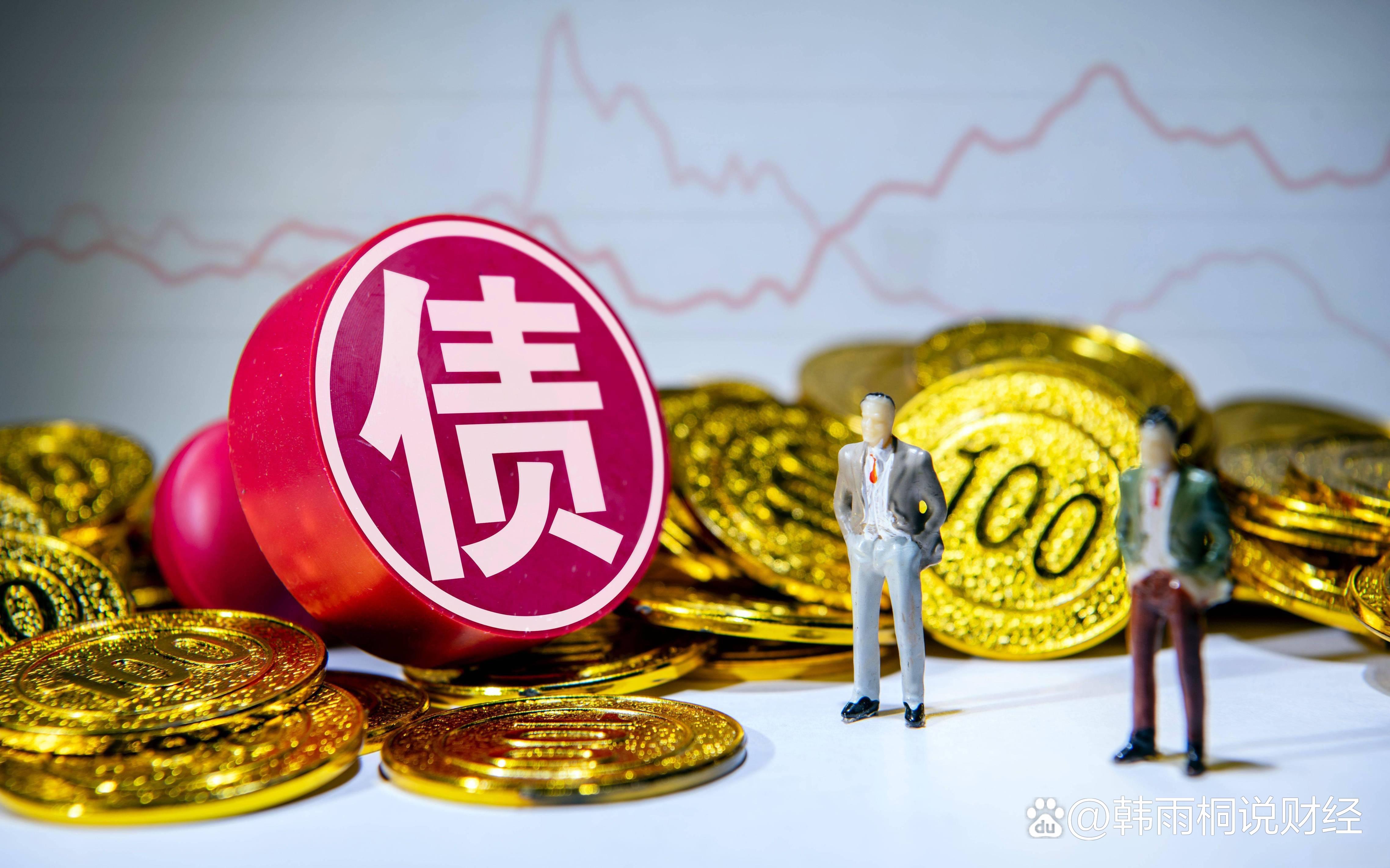 再融资信息披露(再融资信息披露的目的)拉萨市