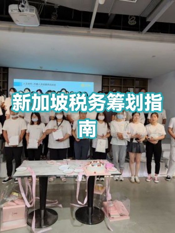消费咨询税务筹划(消费税税务筹划)拉萨市