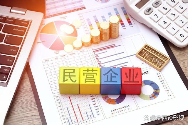 民营企业资本规划(民营企业资本规划包括哪些)拉萨市
