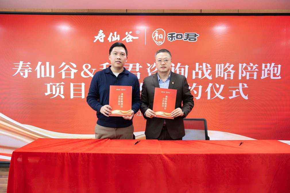 战略执行陪跑服务(战略执行五步方案案例)拉萨市