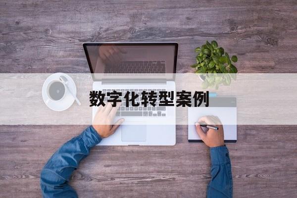 数字化转型案例(数字化转型案例公司)拉萨市 数字化转型案例(数字化转型案例公司)拉萨市