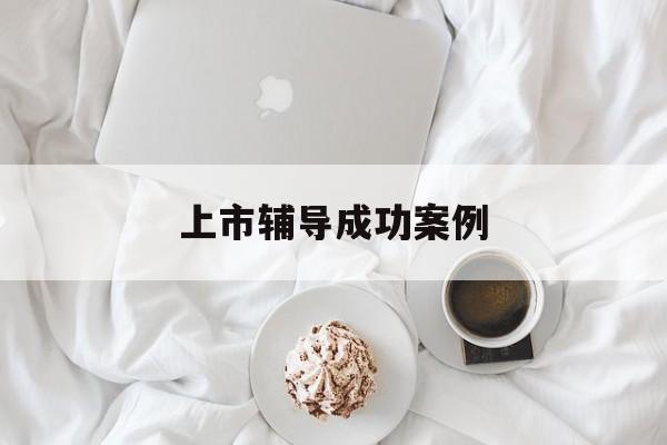 上市辅导成功案例(上市辅导成功后肯定会上市吗)拉萨市